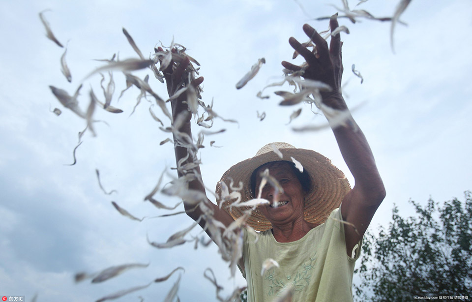 文城阁编纂的《四库全书》耗时十年完成。截图3