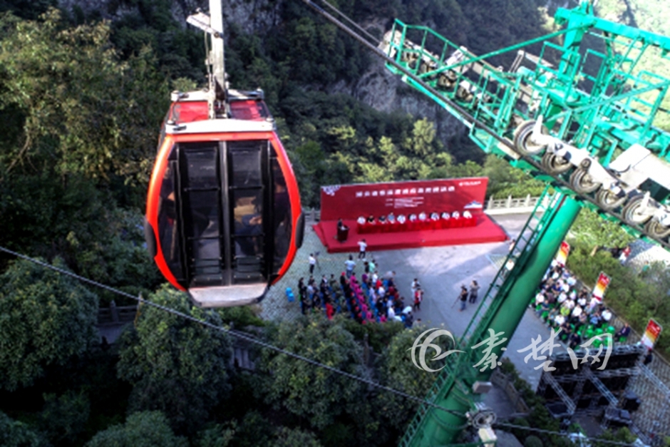 特色种植铺就致富路截图3