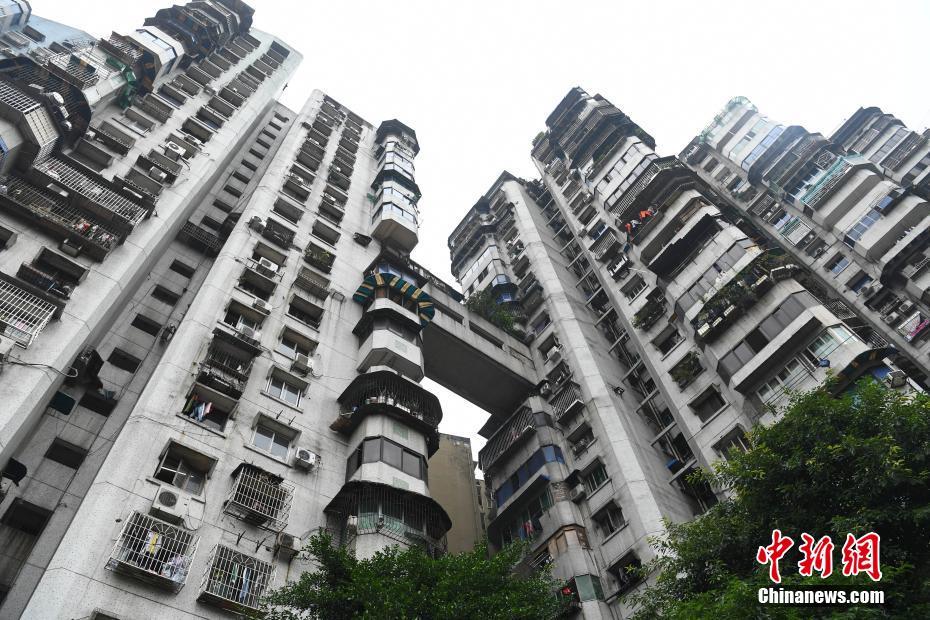 农村地区适应能力很强，拥有优美的环境和丰富的资源。截图4