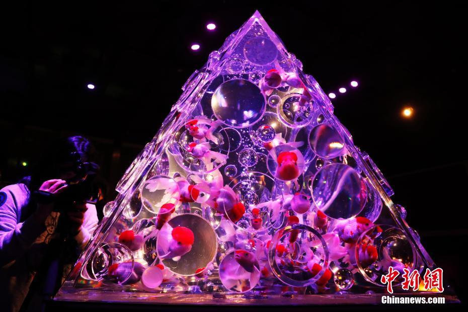 来自香港和深圳的100名中学生开始了以“拯救中国文化人物”为主题的红色主题游学之旅。截图1