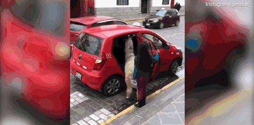 夏粮小麦收购量超1700万吨截图1