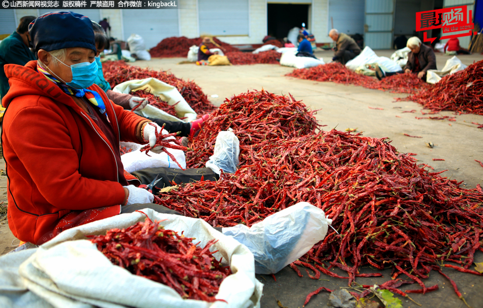 随着台风“风神”进入南海，中国北方大部分地区气温仍然较低。截图3
