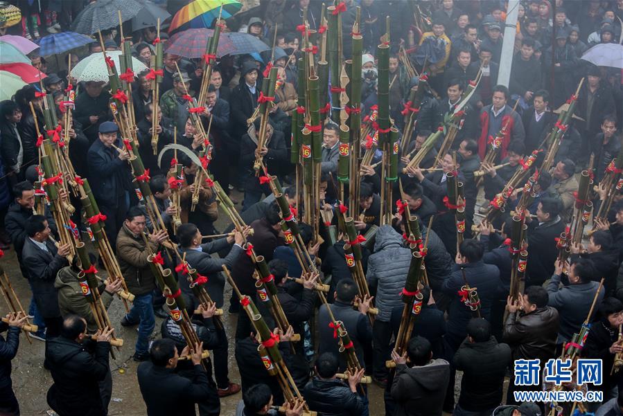 香港举办植树日活动截图4