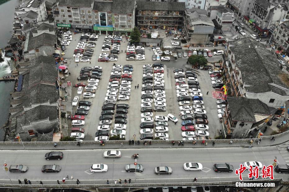 吃瓜贵妃的自我修养