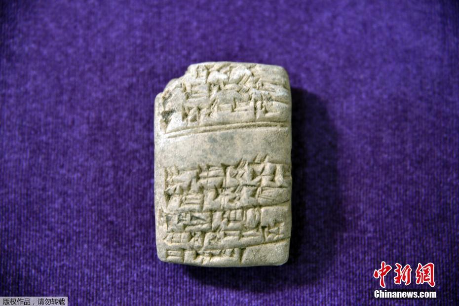 重生了谁还当明星