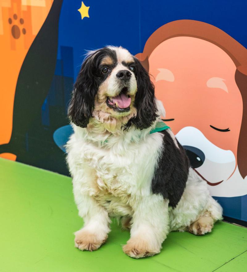 甘肃省启动十项省级项目，通过法治改善人民生活。截图3