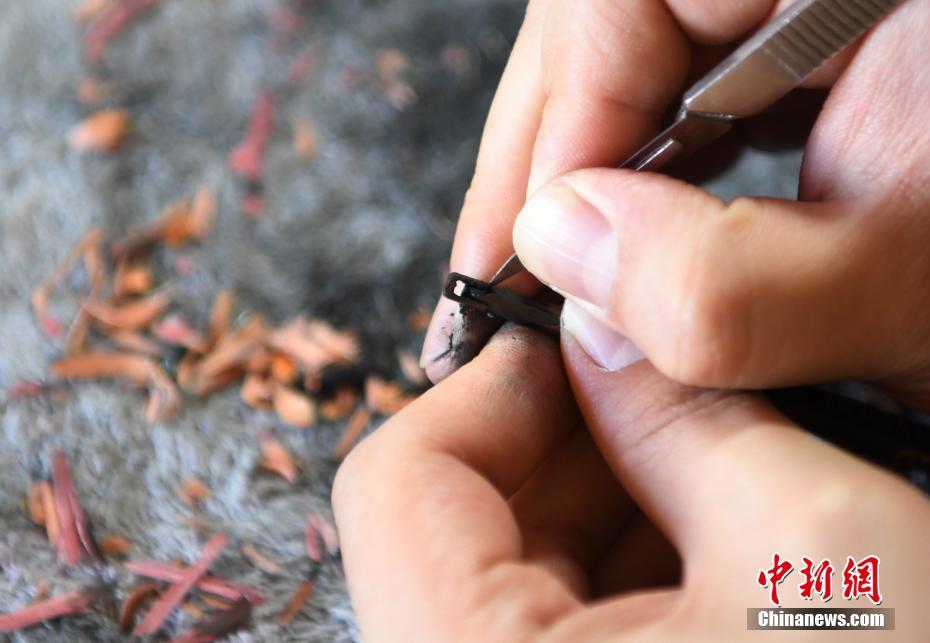 影帝：我谢谢你哦