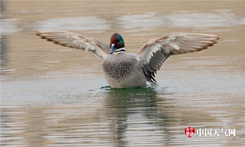 英国媒体关注人工智能在反潜战中的应用截图2